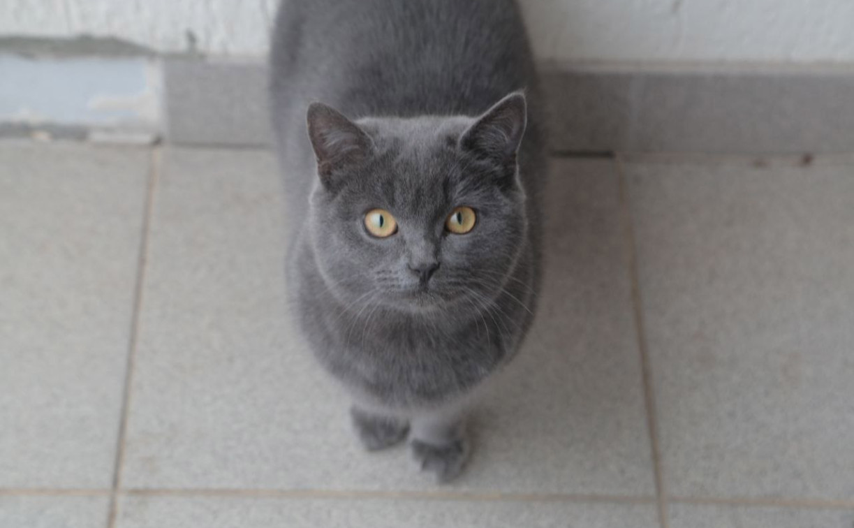 Погода в Туле 27 ноября: ветрено и небольшой дождь