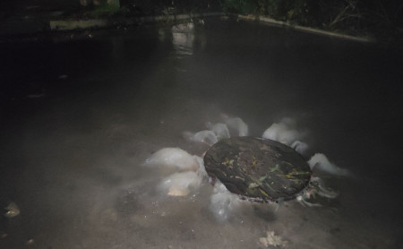 Жизнь Тулы и области