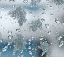 Погода в Туле 31 декабря: мокрый снег и до +3