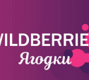 Wildberries VS «Ягодки»: маркетплейс сменил название в шапке сайта