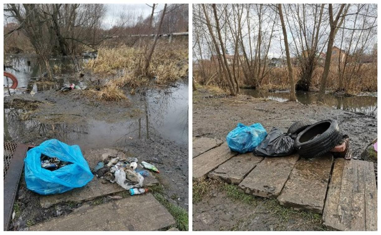 Тулячка пожаловалась на загрязнение Щегловского ручья