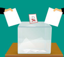 Жители Тульской области смогут проголосовать досрочно с 28 августа