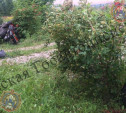 В Ленинском районе водитель квадроцикла врезалась в забор
