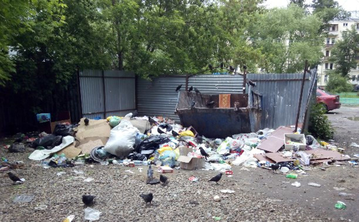 Суд объяснил администрации Одоева, что нужно убирать мусор