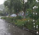 Погода в Туле 1 июля: дождь, град, гроза и до 30 градусов тепла