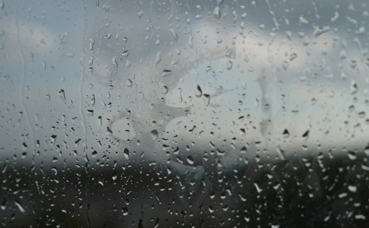 Погода в Туле 21 ноября: дождливо и ветрено