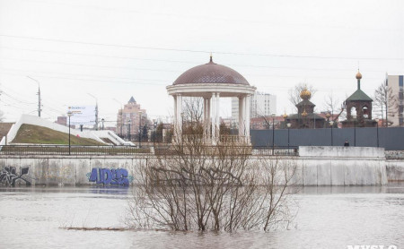 Жизнь Тулы и области