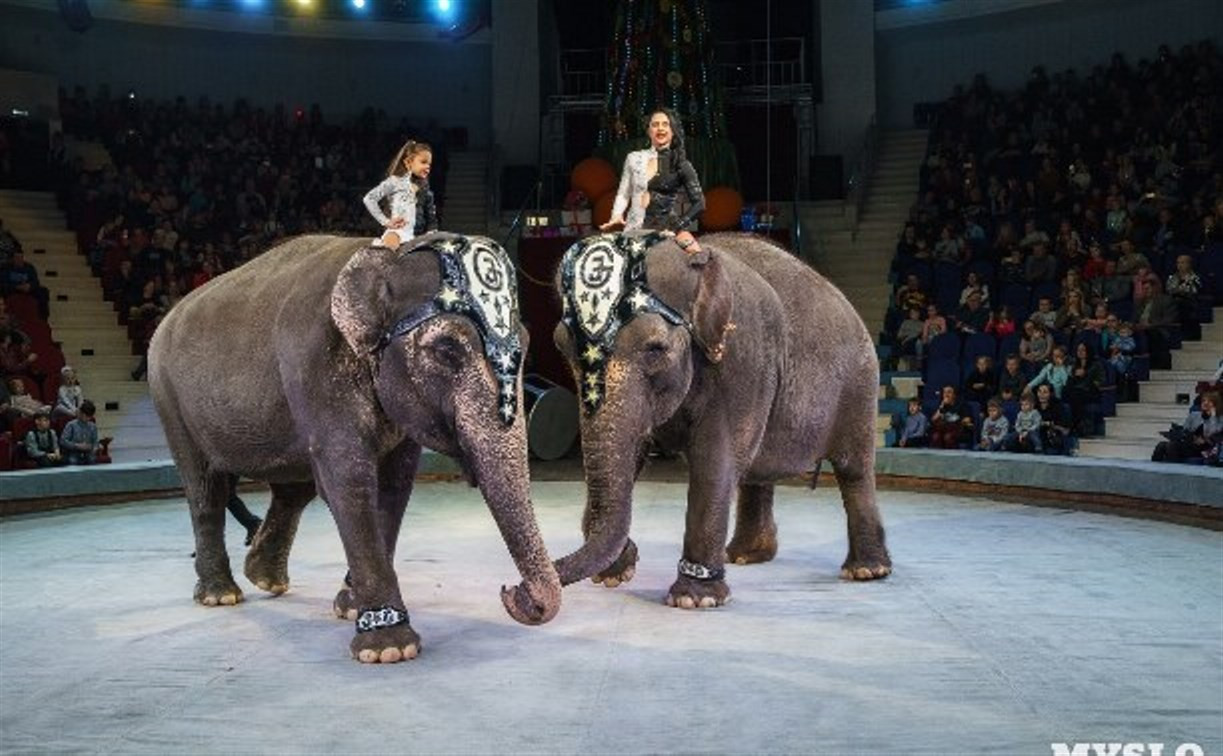 В России контролировать цирки и зоопарки будет Россельхознадзор