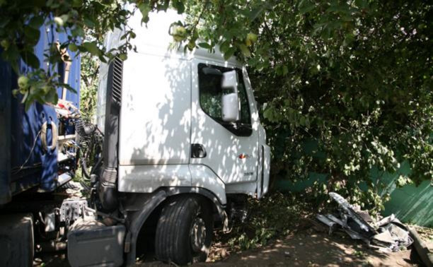 В Барсуках фура влетела в огород и сломала дерево