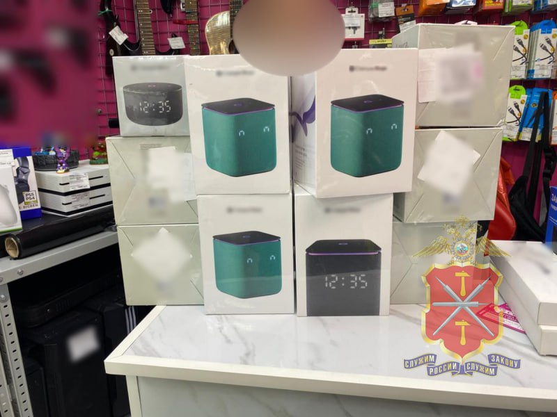 Четыре туляка украли со склада Wildberries 12 умных колонок 