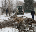В частном секторе Пролетарского округа Тулы фекалии сливали в ливневую канализацию