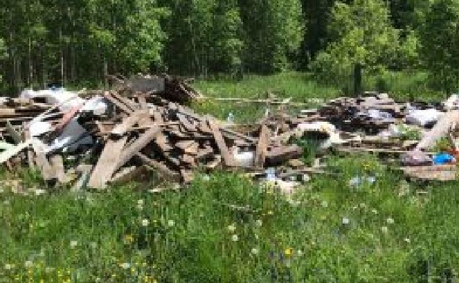Россельхознадзор обязал туляков расчистить земельный участок от мусора