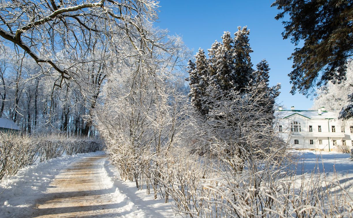 Погода 1 января: в Тульской области морозно и без осадков