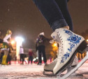 В Татьянин день тульские студенты смогут бесплатно покататься на коньках