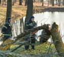 В Ясной Поляне борются с последствиями ночного урагана