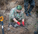 Под Тулой найдены останки красноармейцев, павших в боях с танками Гудериана