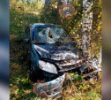В Ясногорском районе автоледи врезалась в дерево
