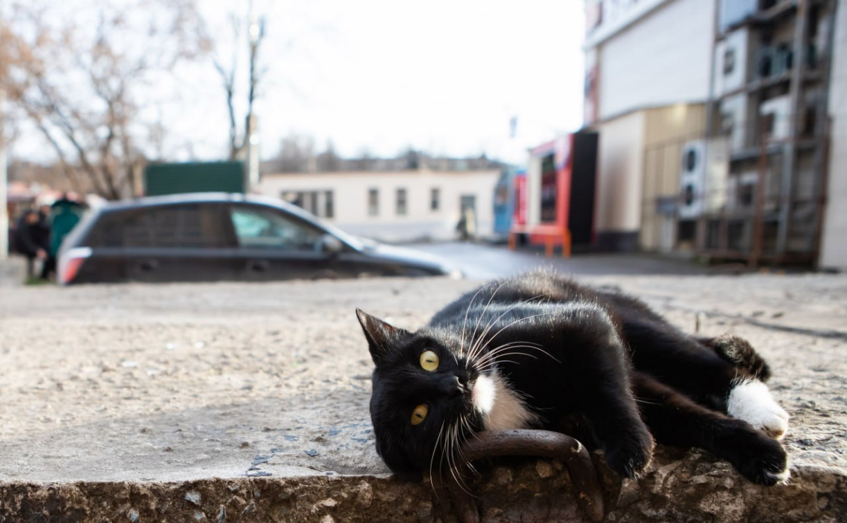 Последние выходные марта в Тульской области будут облачными и тёплыми