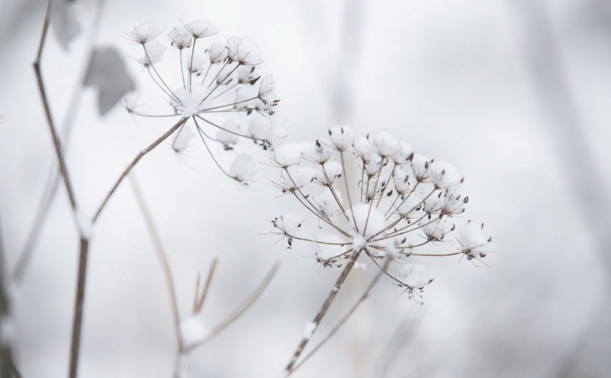 Погода в Туле 10 декабря: мокрый снег и до +2 градусов