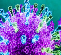 Антирекорд в Тульской области - 285 новых случаев коронавируса, 12 человек умерло