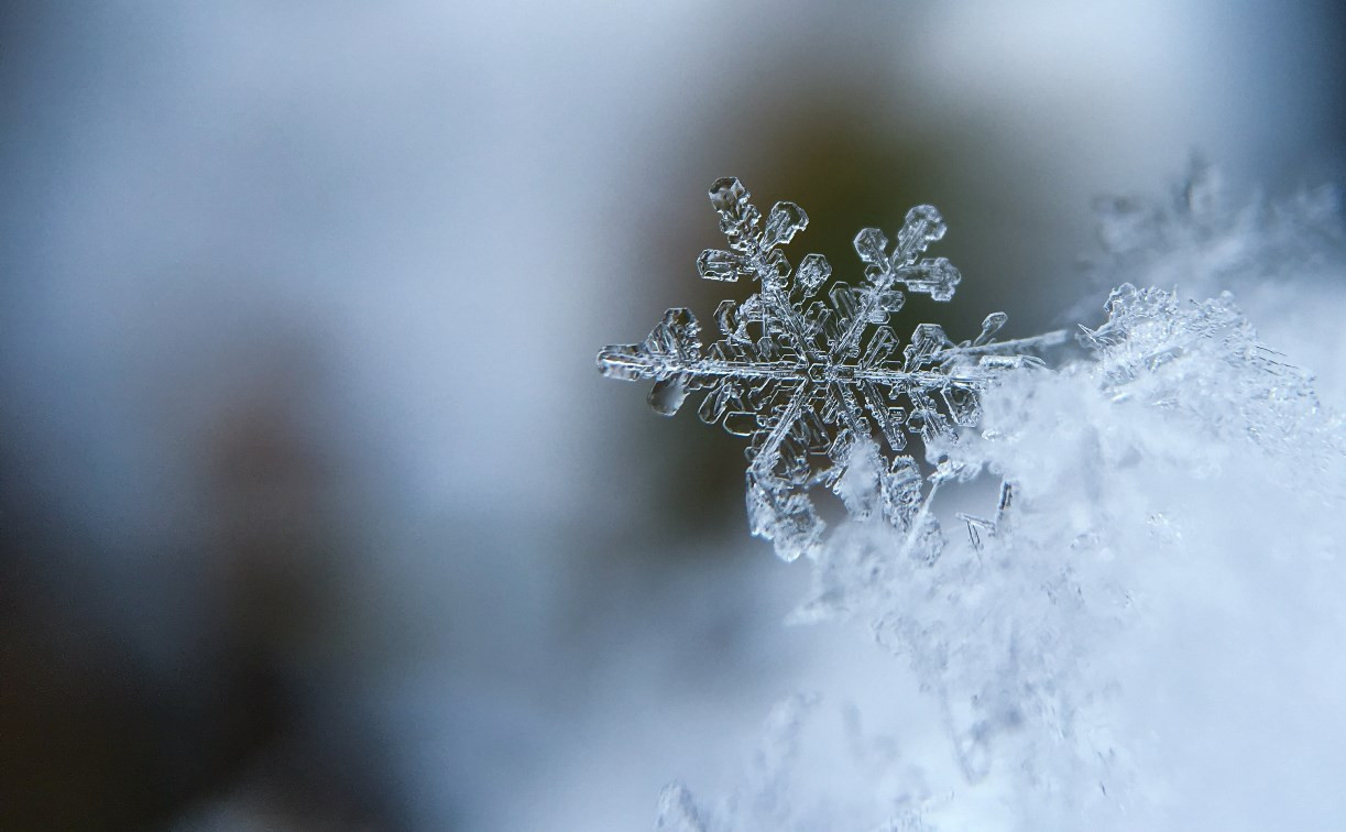 Погода в Туле 14 декабря: небольшой снег и до 8 градусов мороза