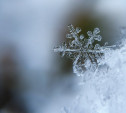 Погода в Туле 14 декабря: небольшой снег и до 8 градусов мороза