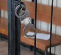 Сбил собаку и уехал: в Суворове водителя арестовали на пять суток