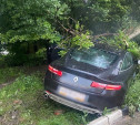 На проспекте Ленина Renault врезался в дерево, уходя от погони ГИБДД