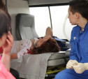 На трассе "Крым" иномарка сбила пешехода и врезалась в фуру