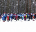 Лыжники выявили лучших на этапе в Богородицке