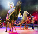 Грандиозное цирковое шоу «Песчаная сказка» впервые в Туле!