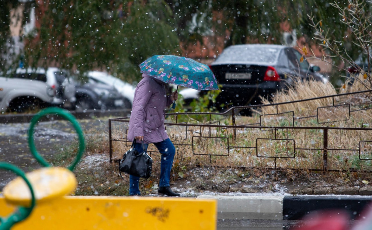 Погода в Туле 15 ноября: мокро, ветрено и до +6