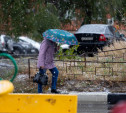 Погода в Туле 15 ноября: мокро, ветрено и до +6