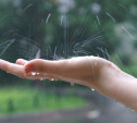 Погода в Туле 7 июля: тепло, пасмурно, дождь с грозой