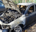 УМВД: Автомобили в Петелино сжег ревнивец