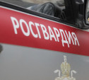Росгвардейцы задержали дебоширов в баре на проспекте Ленина