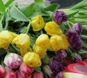 Тульское МКП «Декоративные культуры» вырастило более 13 тысяч тюльпанов