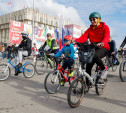 День города в Туле открыл велофестиваль