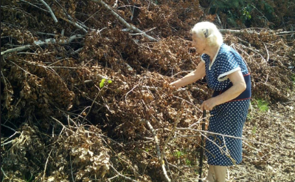 В Огаревке рабочие опилили дерево и завалили сарай местной жительницы 