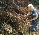 В Огаревке рабочие опилили дерево и завалили сарай местной жительницы 