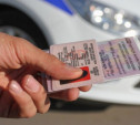 В Туле прикрыли сайты по продаже водительских удостоверений