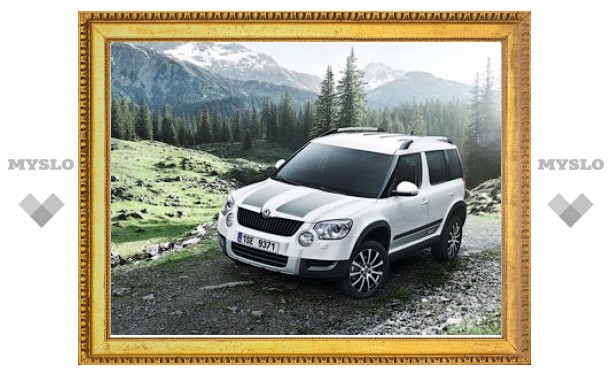 Skoda привезла в Россию "стильный" Yeti