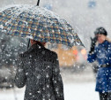 Погода в Туле 30 января: облачно, мокрый снег с дождём и до -3 градусов