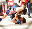 В Тульской области стартовали чемпионат и первенство по MMA