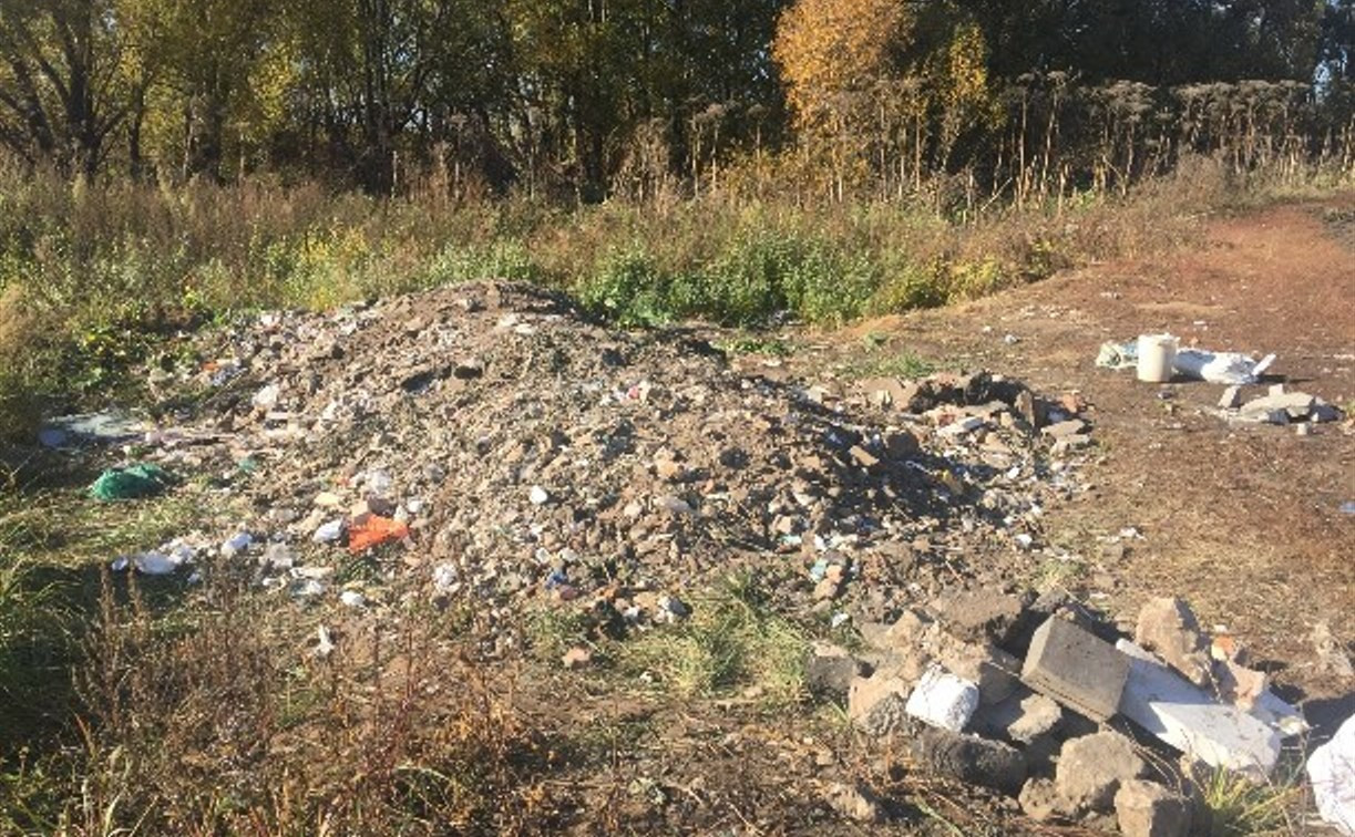 Под Новомосковском начали освобождать от мусора место гибели красноармейцев