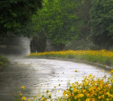 Погода в Туле 26 мая: тепло, дождливо, возможна гроза