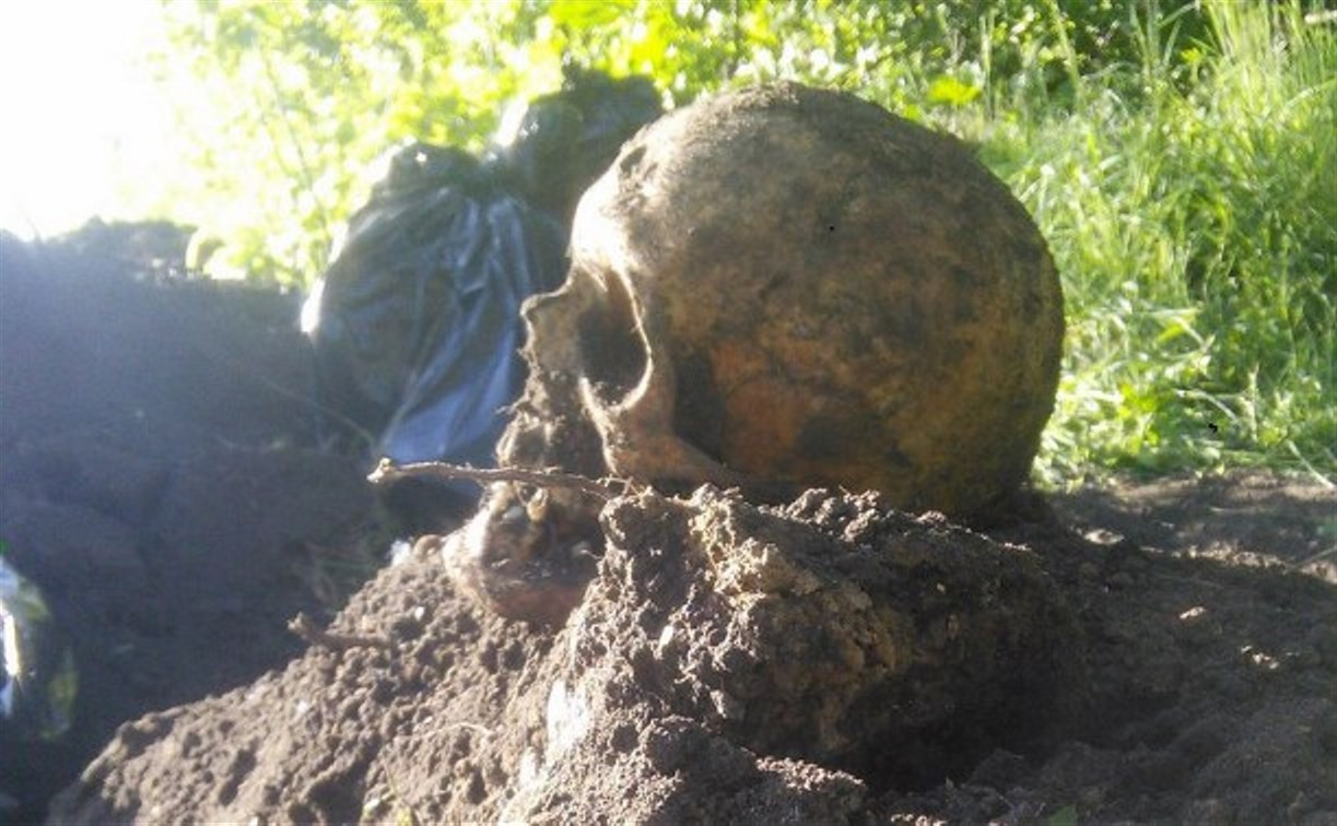 Немецкое захоронение в Тульской области: Найденные останки перевезут на сборное кладбище
