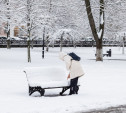 Погода в Туле 2 января: снег и морозец!