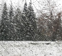 В Тульской области ожидается мокрый снег и ветер до 12 м/с