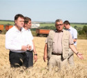 Владимир Груздев пообещал помочь «Белёвским овощам»